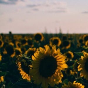 Meet your Posher, Adeline cortez